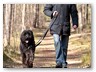 Junge Wilde M&auml;rz 2011 (21)