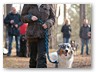 Junge Wilde M&auml;rz 2011 (22)