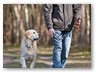 Junge Wilde M&auml;rz 2011 (5)