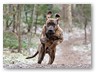 Junge Wilde Januar 2011 (11)