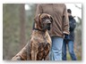 Junge Wilde Januar 2011 (24)