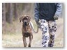 Junge Wilde Januar 2011 (4)