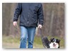 Junge Wilde Januar 2011 (5)