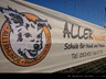 Allerhunde Übungsgelände (9)