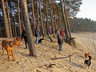 Hundespaziergang MÃ¤rz 2011 (23)