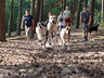 Hundespaziergang_Sept._2011 (10)