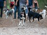 Hundespaziergang_Sept._2011 (68)