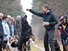 AllerHunde-Ãï¿½bungsspaziergang Jan. 2011 (10)