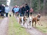 AllerHunde-Ãï¿½bungsspaziergang Jan. 2011 (13)