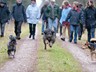 AllerHunde-Ãï¿½bungsspaziergang Jan. 2011 (15)