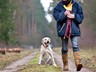 AllerHunde-Ãï¿½bungsspaziergang Jan. 2011 (2)