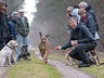 AllerHunde-Ãï¿½bungsspaziergang Jan. 2011 (8)