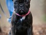 Welpen_Februar 2012 (15)