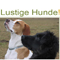 Lustige Hunde